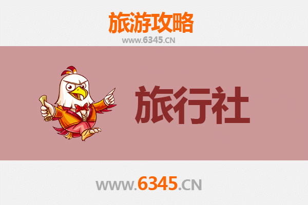洛阳汝阳本地旅行社推荐：探索古韵与自然的完美向导